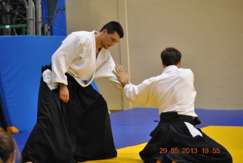 2013 trening aikido114