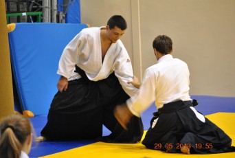 2013 trening aikido116