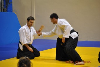 2013 trening aikido117