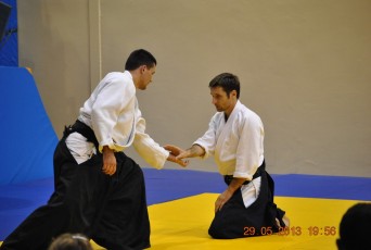2013 trening aikido118