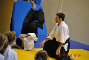 2013 trening aikido121