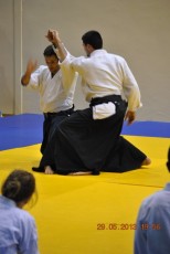 2013 trening aikido122