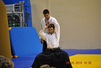 2013 trening aikido124