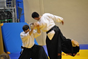 2013 trening aikido126
