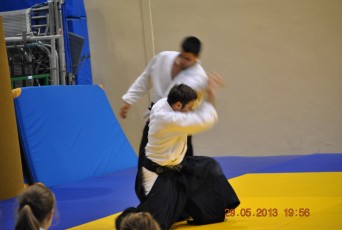2013 trening aikido128