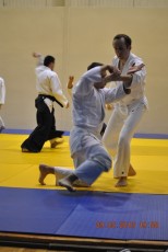 2013 trening aikido133