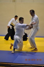 2013 trening aikido134