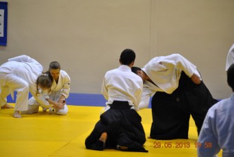 2013 trening aikido136