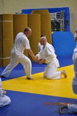 2013 trening aikido138