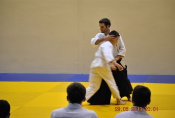 2013 trening aikido142