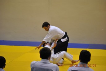 2013 trening aikido143