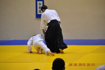 2013 trening aikido145