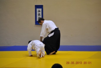 2013 trening aikido146