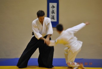 2013 trening aikido150