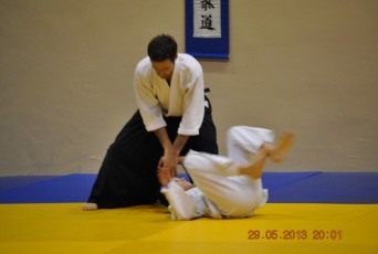 2013 trening aikido151