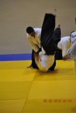 2013 trening aikido159