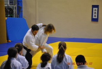 2013 trening aikido166