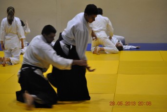 2013 trening aikido171