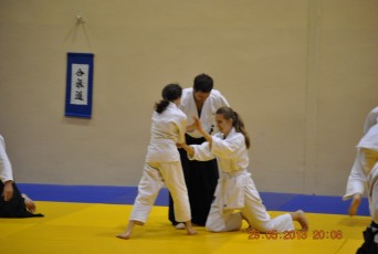 2013 trening aikido173