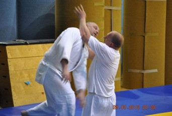 2013 trening aikido174