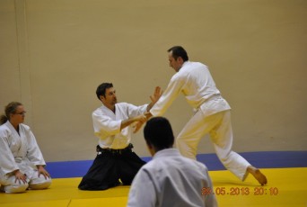 2013 trening aikido175