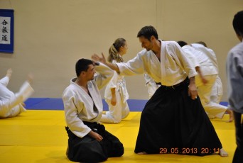 2013 trening aikido176
