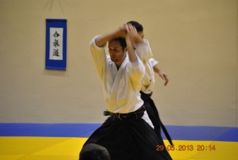 2013 trening aikido183