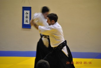 2013 trening aikido184