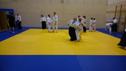 [2016-11] Trening Aikido