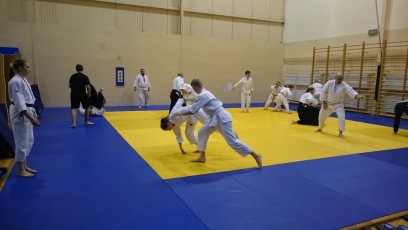 2016 trening aikido003