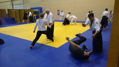 2016 trening aikido005