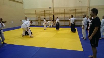 2016 trening aikido010