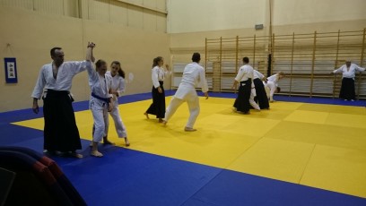 2016 trening aikido011