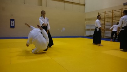 2016 trening aikido012