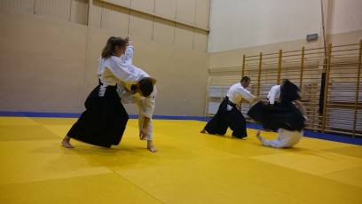 2016 trening aikido014