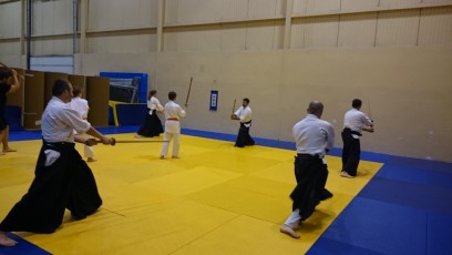 2016 trening aikido015