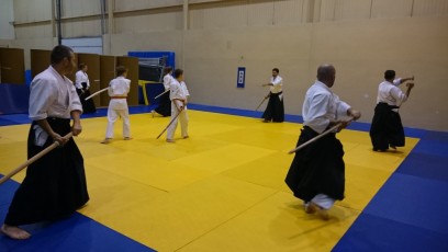 2016 trening aikido016