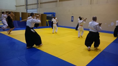 2016 trening aikido017