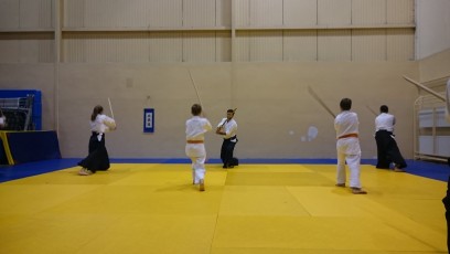2016 trening aikido018