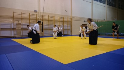 2016 trening aikido023