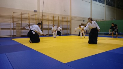 2016 trening aikido024