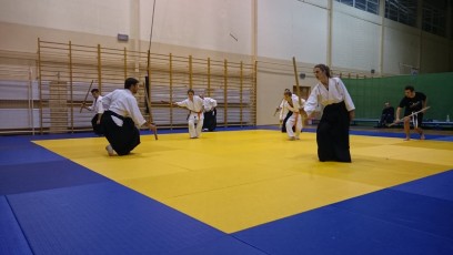 2016 trening aikido025