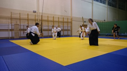 2016 trening aikido026