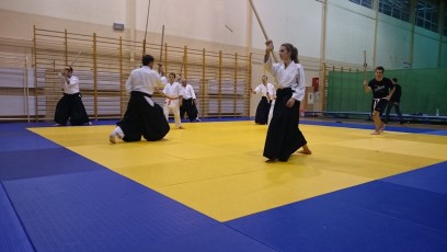 2016 trening aikido027