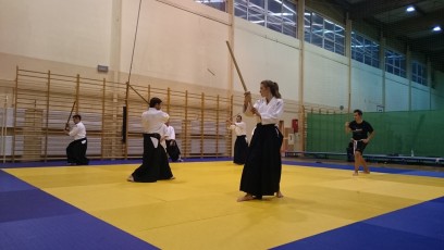 2016 trening aikido028