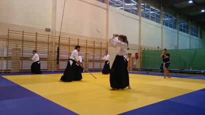 2016 trening aikido029