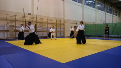 2016 trening aikido031