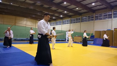 2016 trening aikido032