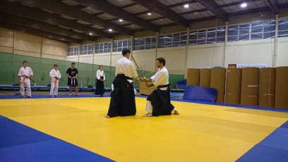 2016 trening aikido033
