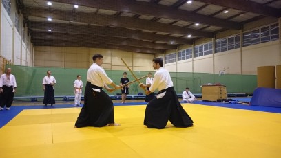 2016 trening aikido034